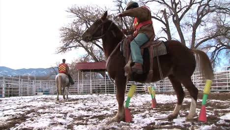 Das-Wildpferde-Häftlingsprogramm-In-Colorado-Domestiziert-Pferde-4