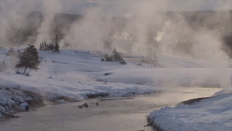 Winter-In-Yellowstone-National-Park-5