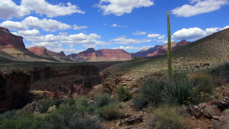 Beautiful-Time-Lapse-Over-The-Desert-Of-Grand-Canyon-With-Yucca-Plant