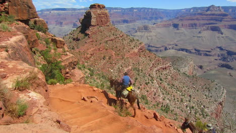A-Horseback-Riding-Team-Navigates-The-Trail-To-The-Bottom-Of-The-Grand-Canyon