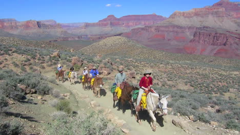 A-Horseback-Riding-Team-Navigates-The-Trail-To-The-Bottom-Of-The-Grand-Canyon-1