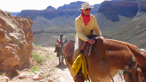 A-Horseback-Riding-Team-Navigates-The-Trail-To-The-Bottom-Of-The-Grand-Canyon-2