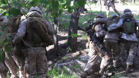 Marines-Evacuate-Wounded-And-Injured-Through-A-Forest