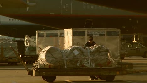 Agenten-Von-Uns-Zoll-Grüßen-Ein-Verkehrsflugzeug-Und-Suchen-Nach-Illegal-Importierten-Produkten-3