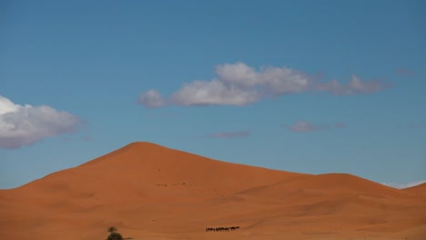 Desierto-de-Merzouga-15