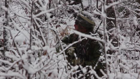 Los-Comandos-De-Los-Marines-Estadounidenses-Patrullan-En-Un-Bosque-Nevado-En-Un-Ejercicio-De-Invierno