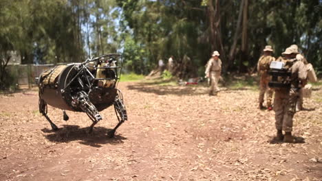 The-Legged-Squad-Support-System-Robotic-Mule-Is-Demonstrated-By-The-Us-Army-3