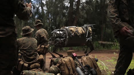 The-Legged-Squad-Support-System-Robotic-Mule-Is-Demonstrated-By-The-Us-Army-6