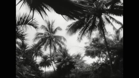 Hawaii-Wird-Am-7.-Dezember-1941-Von-Den-Japanern-Angegriffen-Inklusive-Nachstellungen