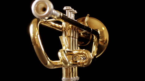 Trumpet-01