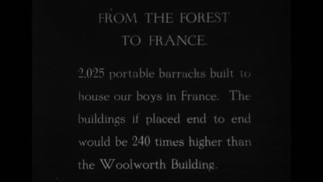 Forestry-Develops-In-America-In-1918