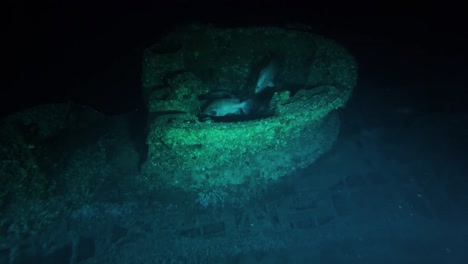 Noaa-Explores-Two-Recently-Discovered-World-War-Ii-Shipwrecks-Off-The-Coast-Of-North-Carolina-2016