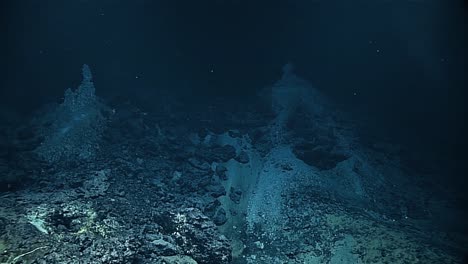 Discovery-Of-The-Chamorro-Vent-In-The-Mariana-Trench-2016
