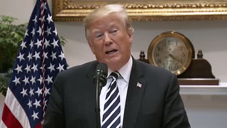 President-Trump-Says-There'S-A-Limit-To-How-Many-Immigrants-The-Us-Can-Absorb-2019