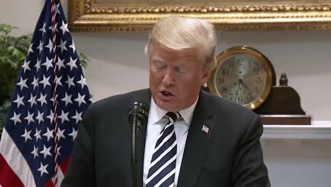 Presidente-Trump-Habla-Sobre-Los-Que-Abusan-Del-Sistema-De-Asilo-2019