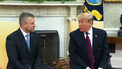 Präsident-Trump-Spricht-über-Die-Zahlung-Der-NATO-Kosten-Der-Slowakischen-Republik-2019