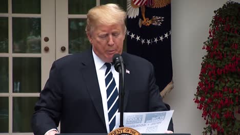 President-Trump-Makes-Remarks-On-The-Mueller-Report-And-Nancy-Pelosi-2019