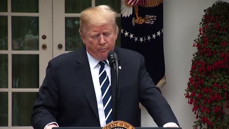 President-Trump-Makes-Remarks-On-Collusion-And-The-Democrats-Being-The-Ones-Who-Commited-A-Crime-2019