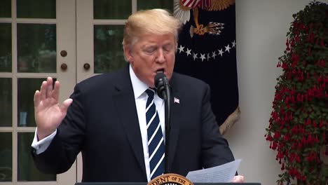 President-Trump-Makes-Remarks-On-The-Wall-Street-Journal-Editoral-Saying-There-Was-No-Collusion-Mueller-Report-2019