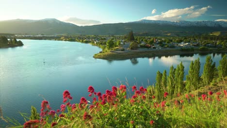 A-scenic-lake-surrounded-by-flowers-and-mountains-is-seen-in-Reykjavik-Iceland