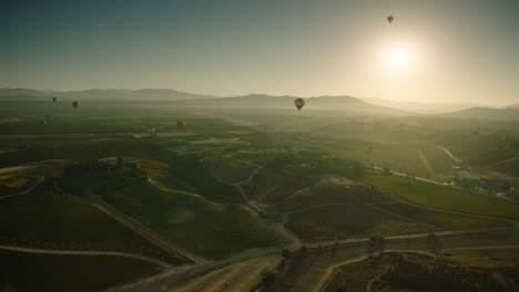 Globos-De-Aire-Caliente-Vuelan-Sobre-Un-Viñedo-En-Temecula-California