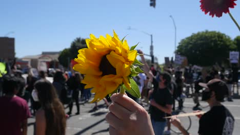 Extreme-Slo-Mo-Protesters-Holding-Up-A-Flower-Sunflower-During-A-Black-Lives-Matter-Blm-Parade-In-Ventura-California