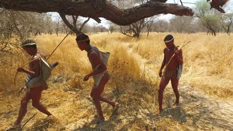 San-Tribales-Bosquimanos-Cazadores-En-Namibia-áfrica-Caminan-Tranquilamente-Huelen-El-Aire-Y-Muestrean-El-Suelo-Para-Ver-La-Dirección-Del-Viento-Cazando-Presas-3