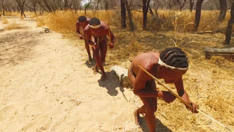 San-Tribal-Buschmann-Jäger-In-Namibia-Afrika-Gehen-Leise,-Schnuppern-Die-Luft-Und-Probieren-Den-Boden-Für-Die-Windrichtung-Jagd-Nach-Beute-8