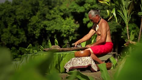 A-Hawaiian-native-prepares-tarot-root-with-his-hands-1