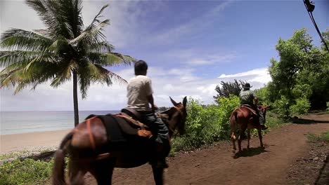 People-ride-horses-beside-the-beach-in-Hawaii