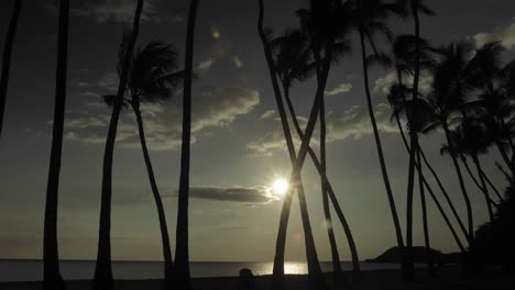 The-sun-or-moon-sets-behind-palm-trees-in-time-lapse