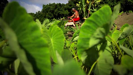 Ein-Hawaiianer-Sitzt-Auf-Dem-Feld-Und-Macht-Poi