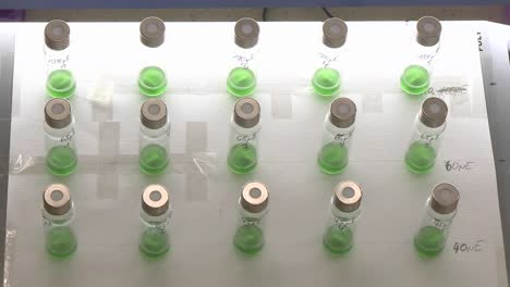 Tiny-scale-cultivation-of-algae-Labscale-cultures-inside-small-vials-Photobioreactor-with-15-small-flasks-being-stirred