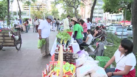 Menschen-In-Der-Mitte-Einer-Allee-In-Einem-Bio-Markt-Verkaufen-Ökoprodukte-In-Der-Chapultepec-Avenue-Guadalajara-Mexiko