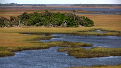 Un-Pantano-Salado-Cerca-De-San-Agustín-Florida