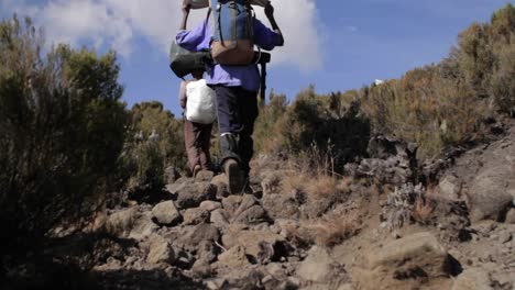 Porters-carrying-gear-down-trail-1