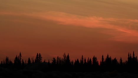 Sonnenuntergang-Mit-Silhouettenbäumen