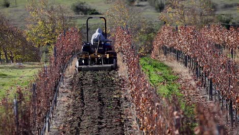 An-agricultural-worker-drives-a-tractor-with-a-disc-in-a-California-vineyard