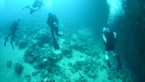 Divers-Swim-Around-Coral-Reefs