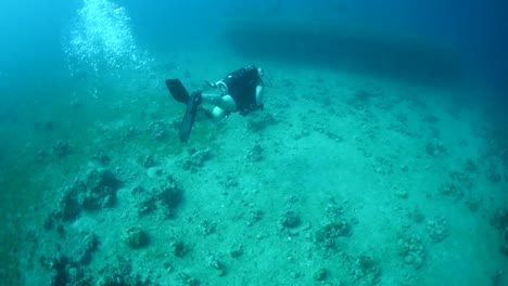 Divers-Explore-A-Shipwreck