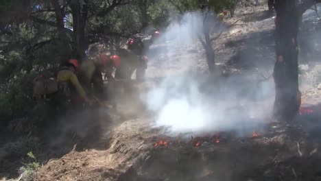 A-Huge-Forest-Fire-Burns-Trees