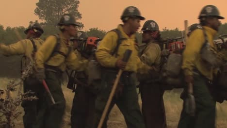 Firefighters-Fight-A-Forest-Fire