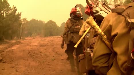 Firefighters-Fight-Forest-Fires-2