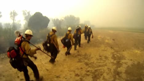 Firefighters-Fight-Forest-Fires-4