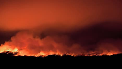 Excellent-Time-Lapse-Shot-Of-A-Wildfire-Burning-1