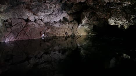 Bats-Fly-In-Around-A-Cave-With-A-Pool-At-Night-1