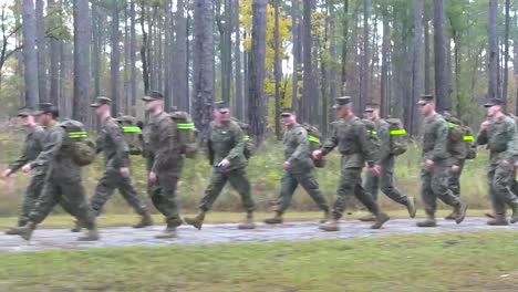 Soldiers-March-Through-A-Forested-Area-On-Exercise