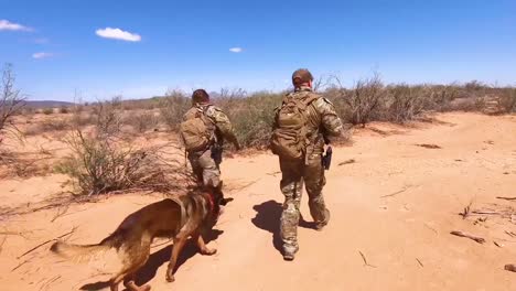 Us-Border-Patrol-Agents-Walk-The-Us-Mexico-Border-Utilizing-A-K9-Canine-Dog-To-Assist
