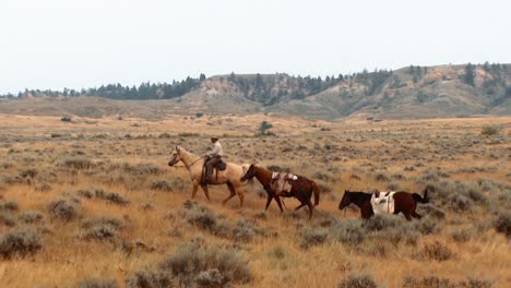 Männer-Reiten-Pferde-Im-Charles-M-Russell-National-Wildlife-Refuge-Anderswo-Im-Reservat-Feuerwehrleute-Roden-Einen-Wald