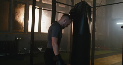 Boxer-Panting-by-Punching-Bag